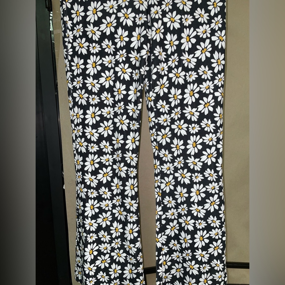 Hollister pants